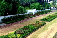 Amphitheater-Garden-view-photos